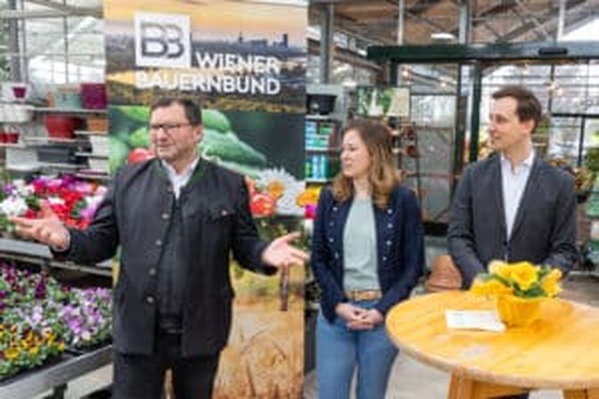 Bei einem Lokalaugenschein bei einem Wiener Ziergartenbauer mit Norbert Walter erklärte Jugendstaatssekretärin Claudia Plakolm, dass es essentiell sei, dass junge Menschen auch in Zukunft Eigentum aufbauen können.