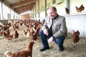 Die Geflügelbranche wächst. Hiegelsberger hofft, dass die erhöhte Investitionsförderung einen zusätzlichen Anreiz schafft.