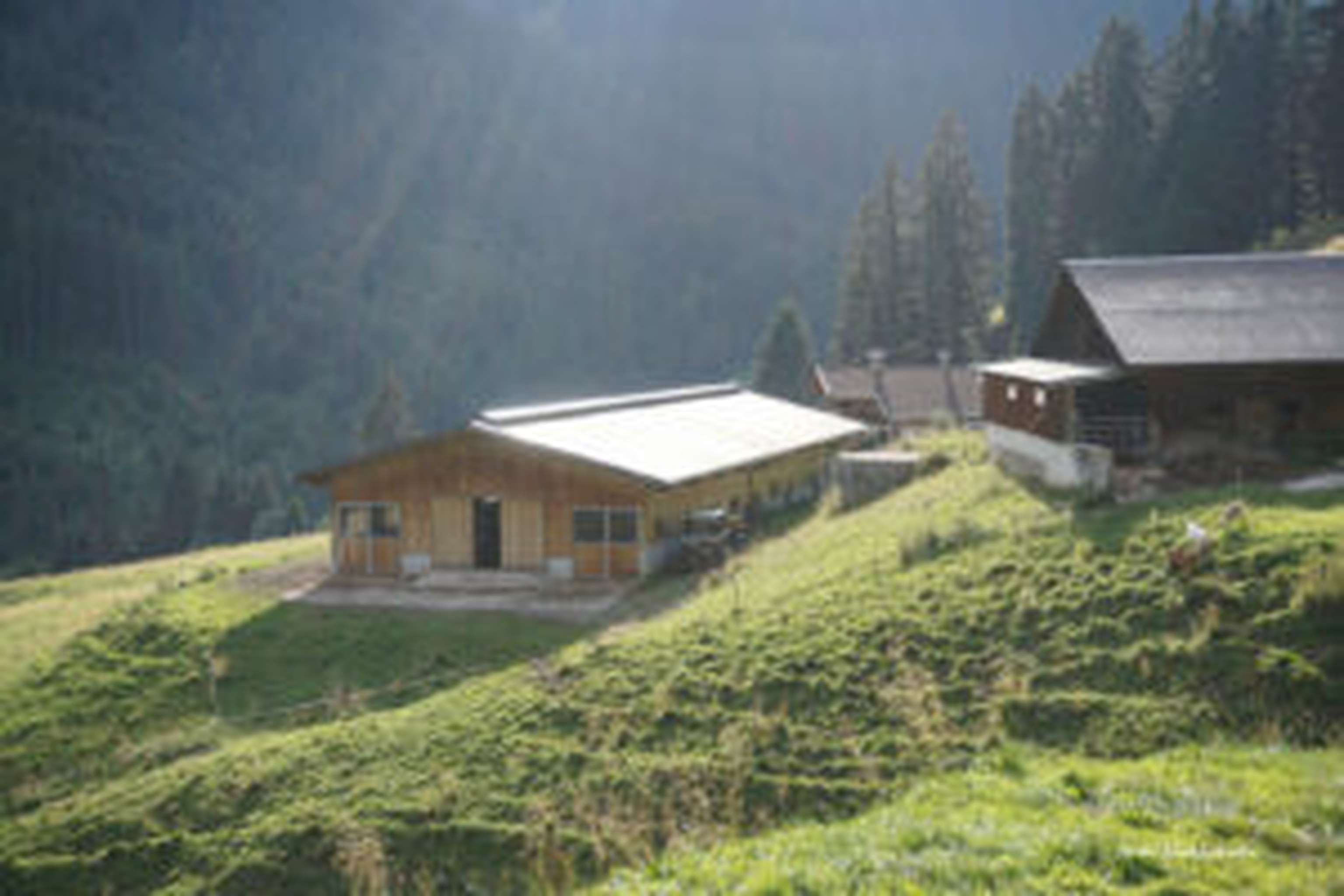 Die Alm Hansltrett-Leitenegg teilen sich vier Bauernfamilien.