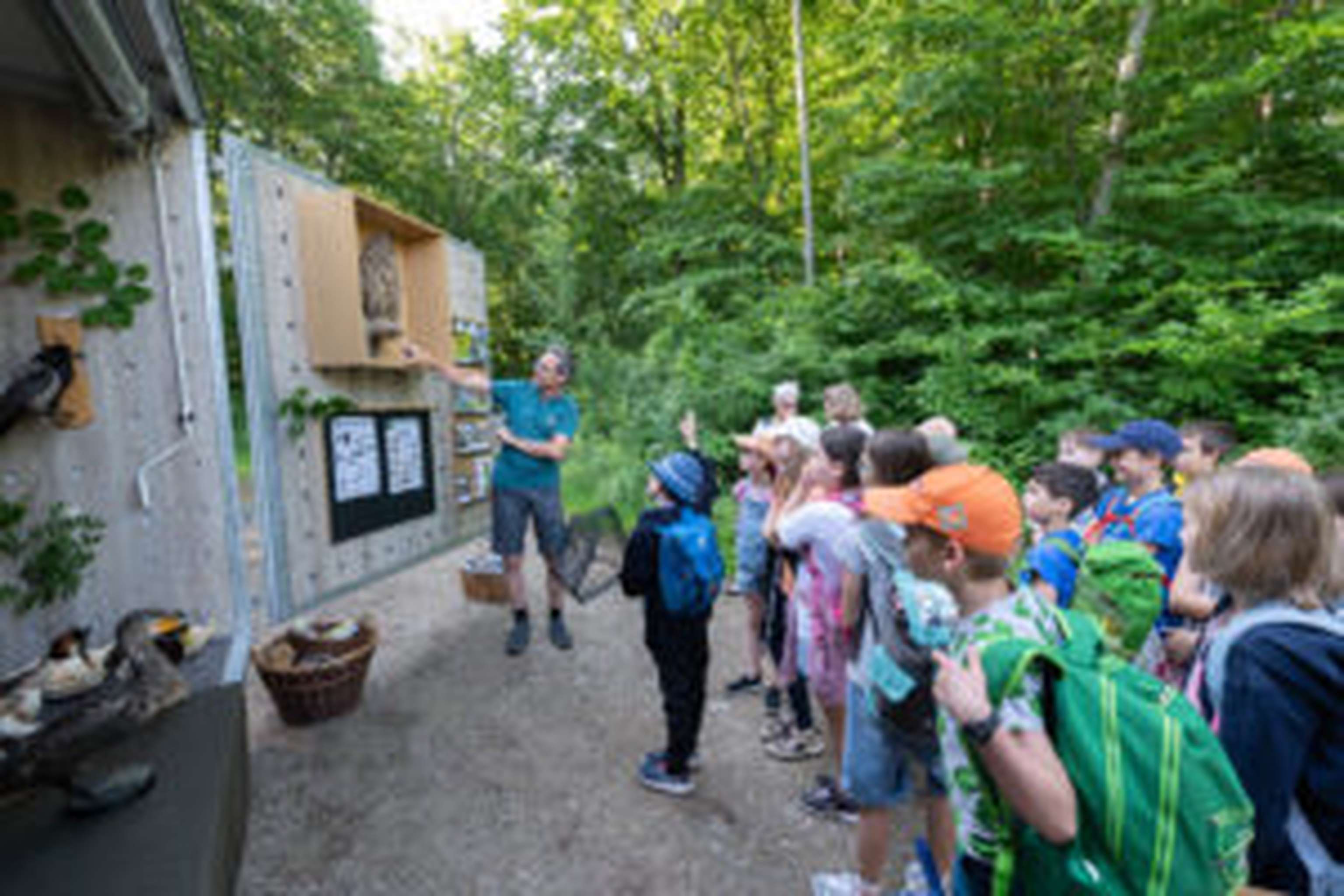 Naturvermittlung mit einer Schulklasse