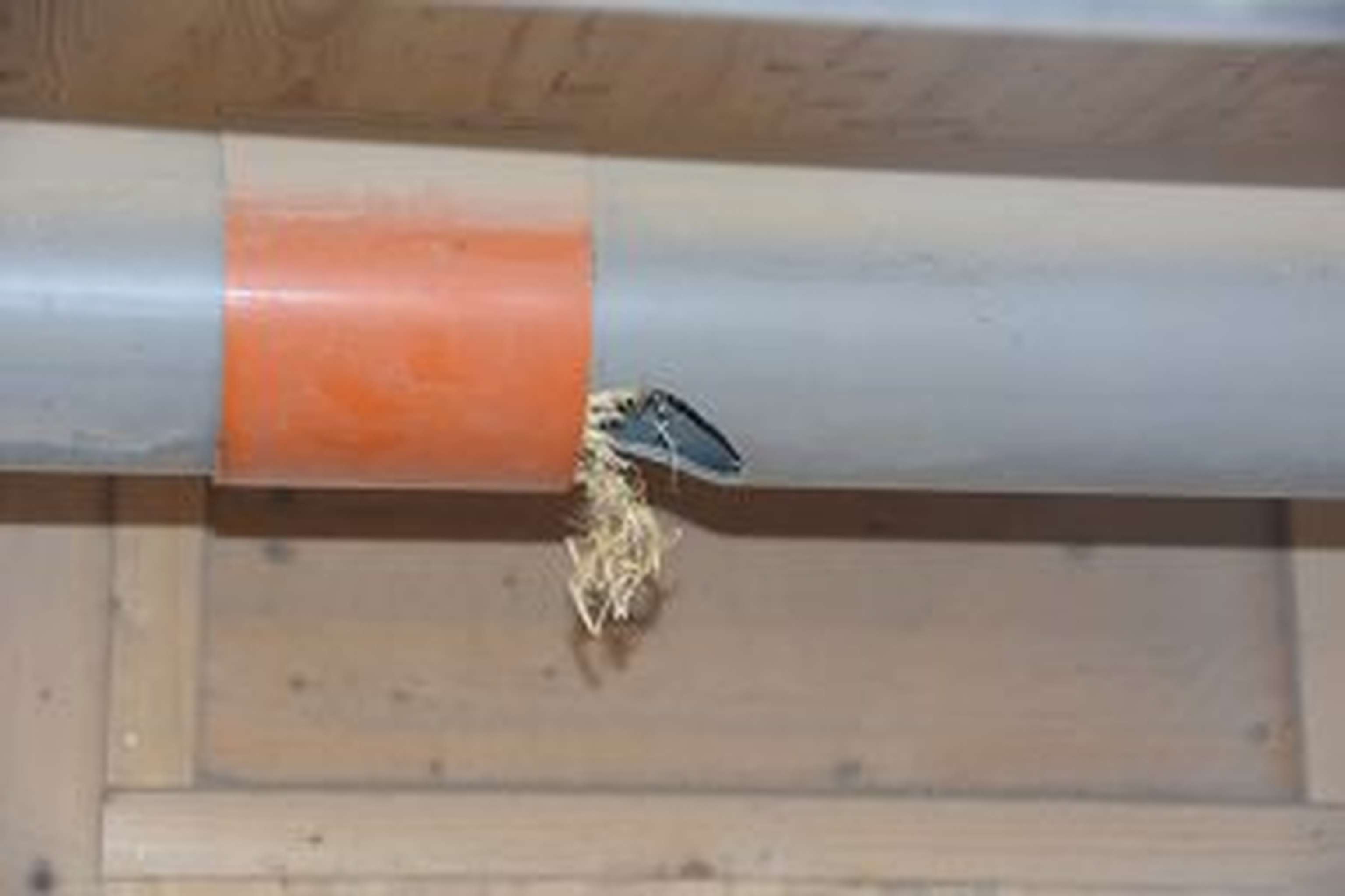 Strohmatic: Entstaubtes Stroh wird täglich frisch eingestreut.