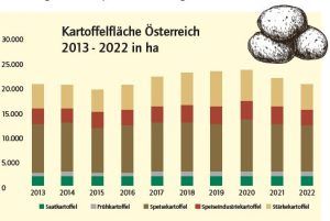 Anbaufläche Kartoffeln