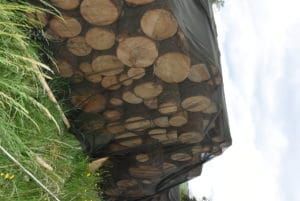 Holz in „Storanet“ eingepackt.