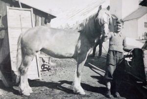 Der junge Erich Scheiber mit seiner Stute Lori.