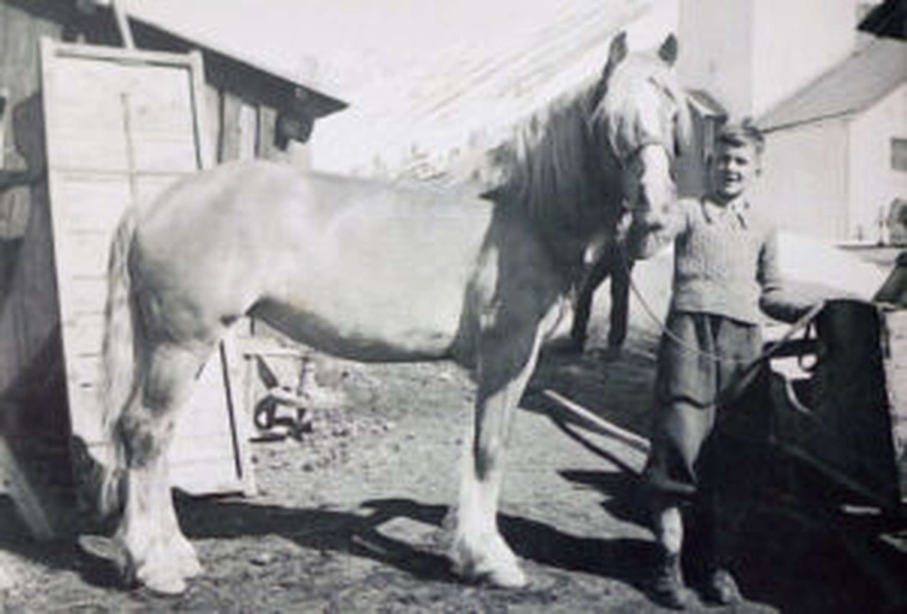 Der junge Erich Scheiber mit seiner Stute Lori.