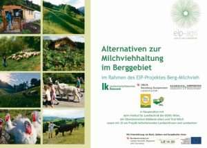 Broschüre Alternativen