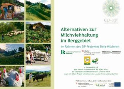 Broschüre Alternativen