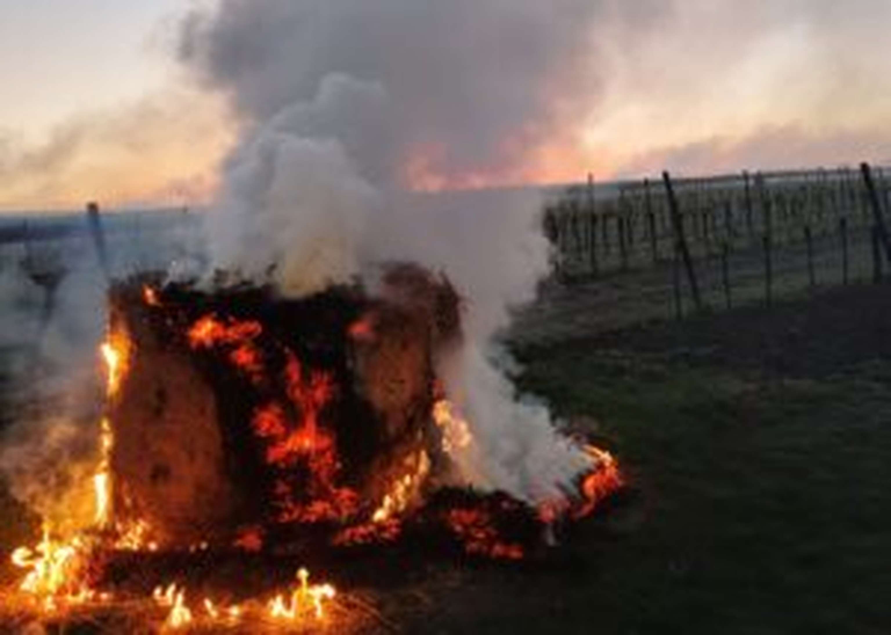Mit Rauch gegen tiefe Temperaturen.