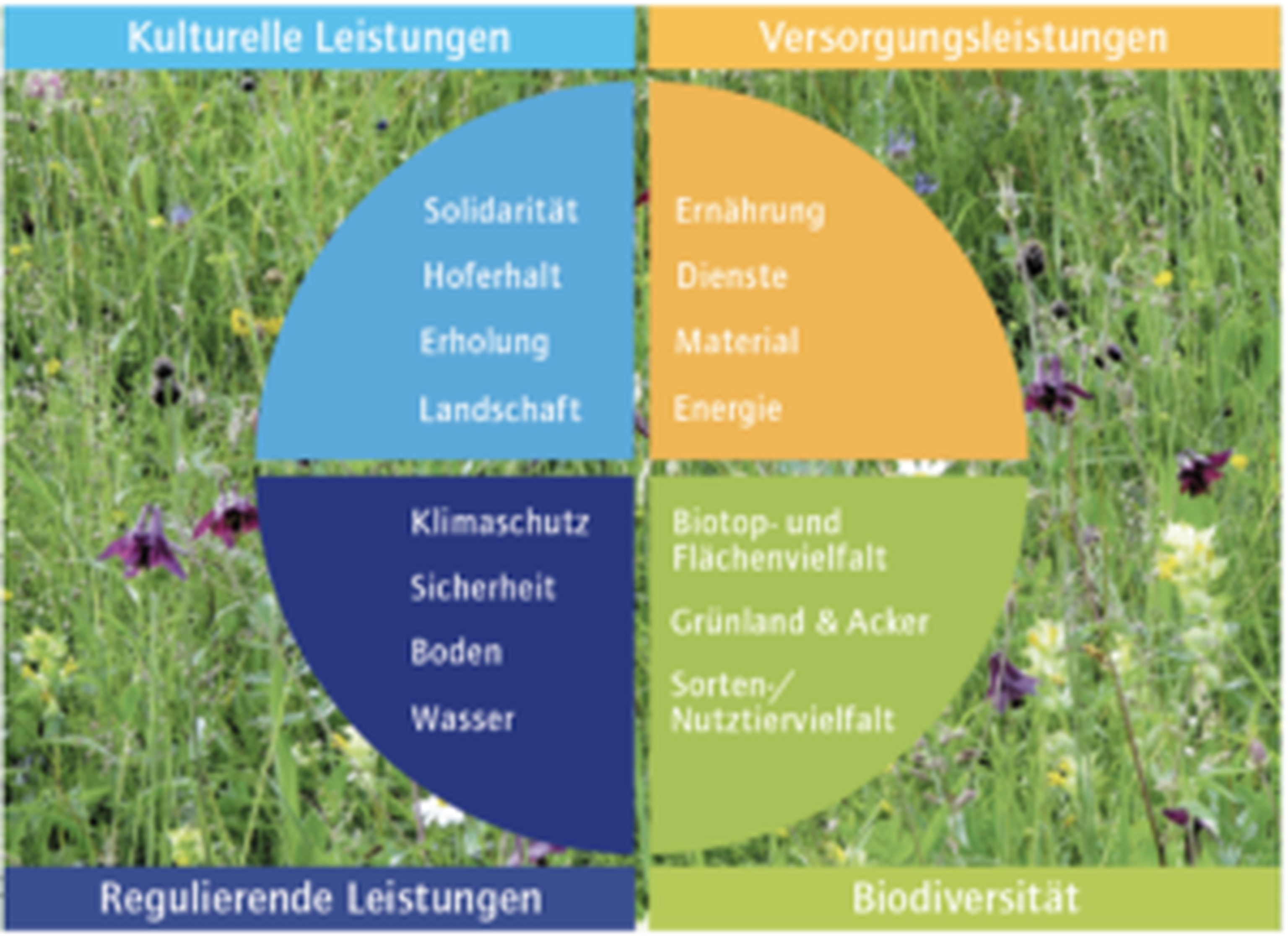 Nicht nur Lebensmittel: Landwirtschaft im Berggebiet sorgt für einen bunten Strauß an positiven Effekten.