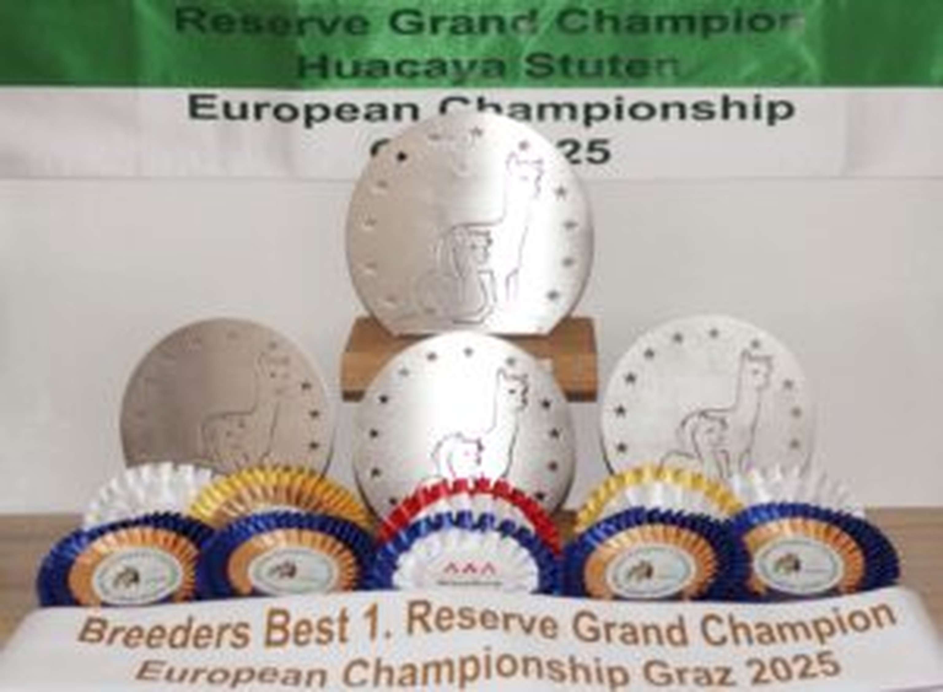 Die Showerfolge der Alpakas aus dem Jahr 2025.