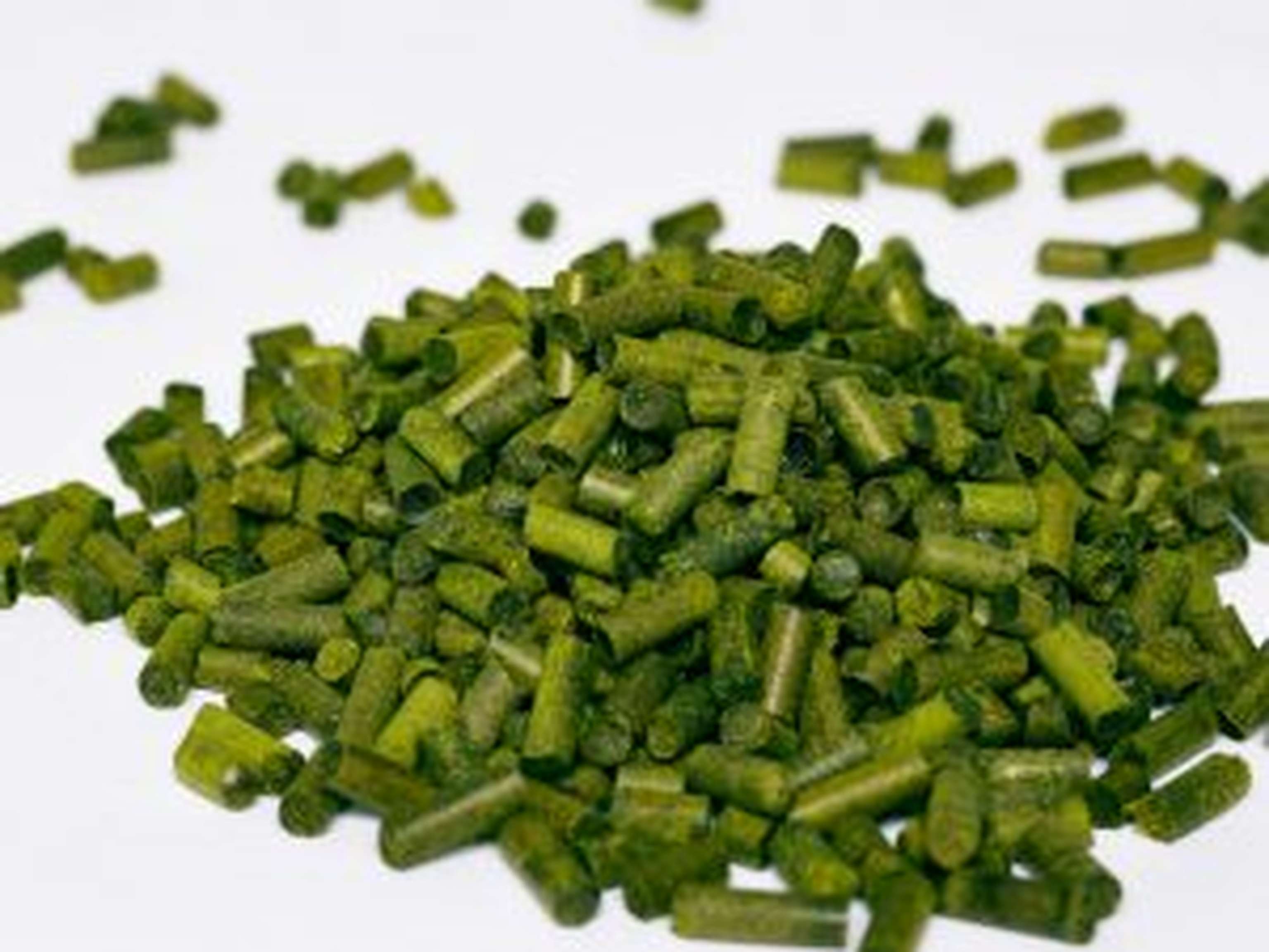 Die mit der Maschine erzeugten Grasschnitt-Pellets