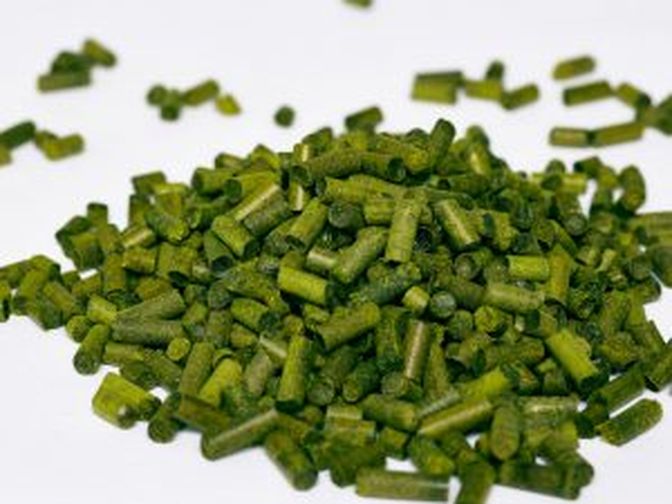 Die mit der Maschine erzeugten Grasschnitt-Pellets