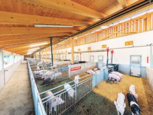 Nachweislich weniger Emissionen im Tierwohl-Schweinestall