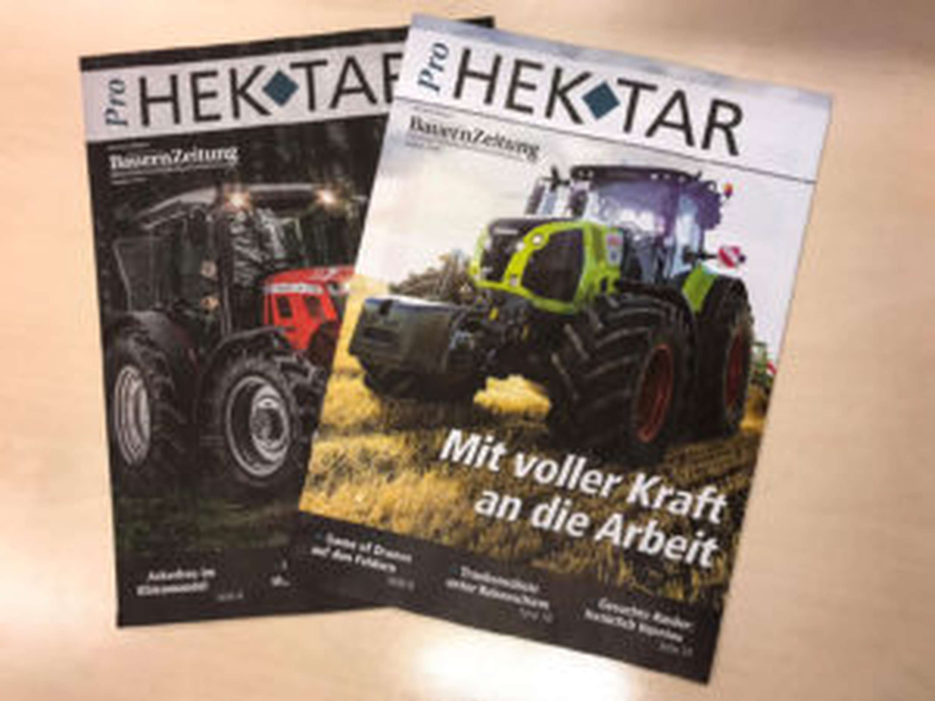 Die zwei Ausgaben von ProHEKTAR