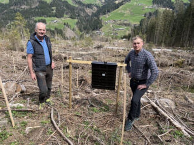 Josef Fuchs und Michael Weißbacher beim Lokalaugenschein. An der Käfer-Monitoring-Falle kann man die Borkenkäfer-Gefahr ablesen.