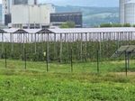 Unterschiedliche PV-Systeme am Gelände des Futtermittelherstellers Garant.