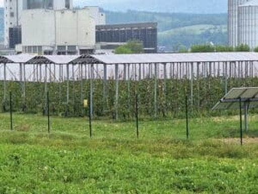 Unterschiedliche PV-Systeme am Gelände des Futtermittelherstellers Garant.