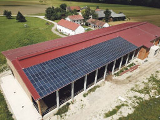 Eine lichtdurchlässige PV-Anlage auf einem Laufstall