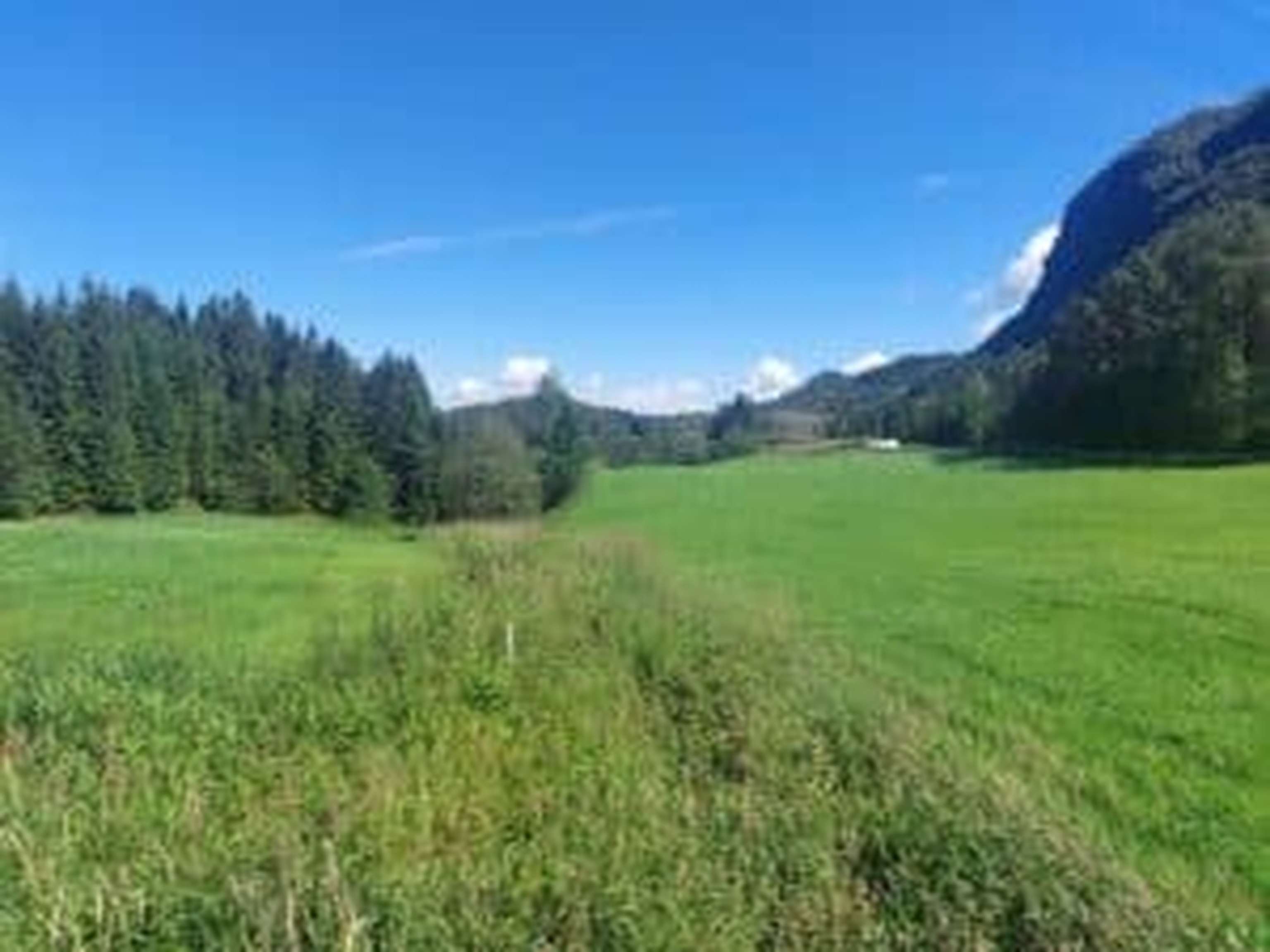 Die Bearbeitung der Felder ist aufgrund der hohen Niederschlagsmenge eine Herausforderung.