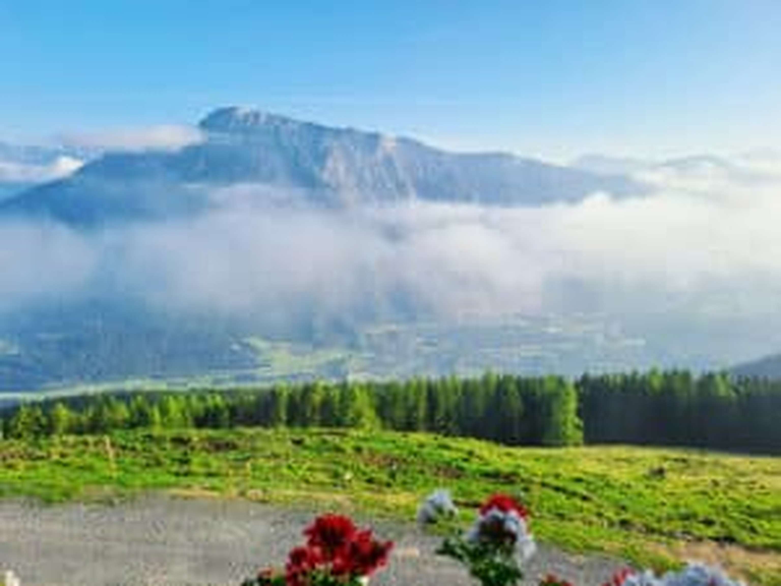 Die schöne Aussicht auf’s Inntal macht die Alm zu einem beliebten Ausflugsziel.