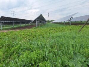Nachgeführte PV Anlage in Bruck/Leitha mit Ackerbau zwischen den Modulen.