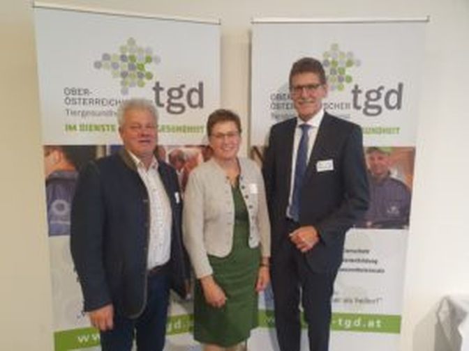 Grabmayr, Ferstl und Schoder (v.l.)