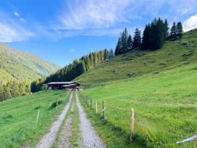 Das Weidemanagement auf der Stieralm erfolgt mittels Koppelhaltung.