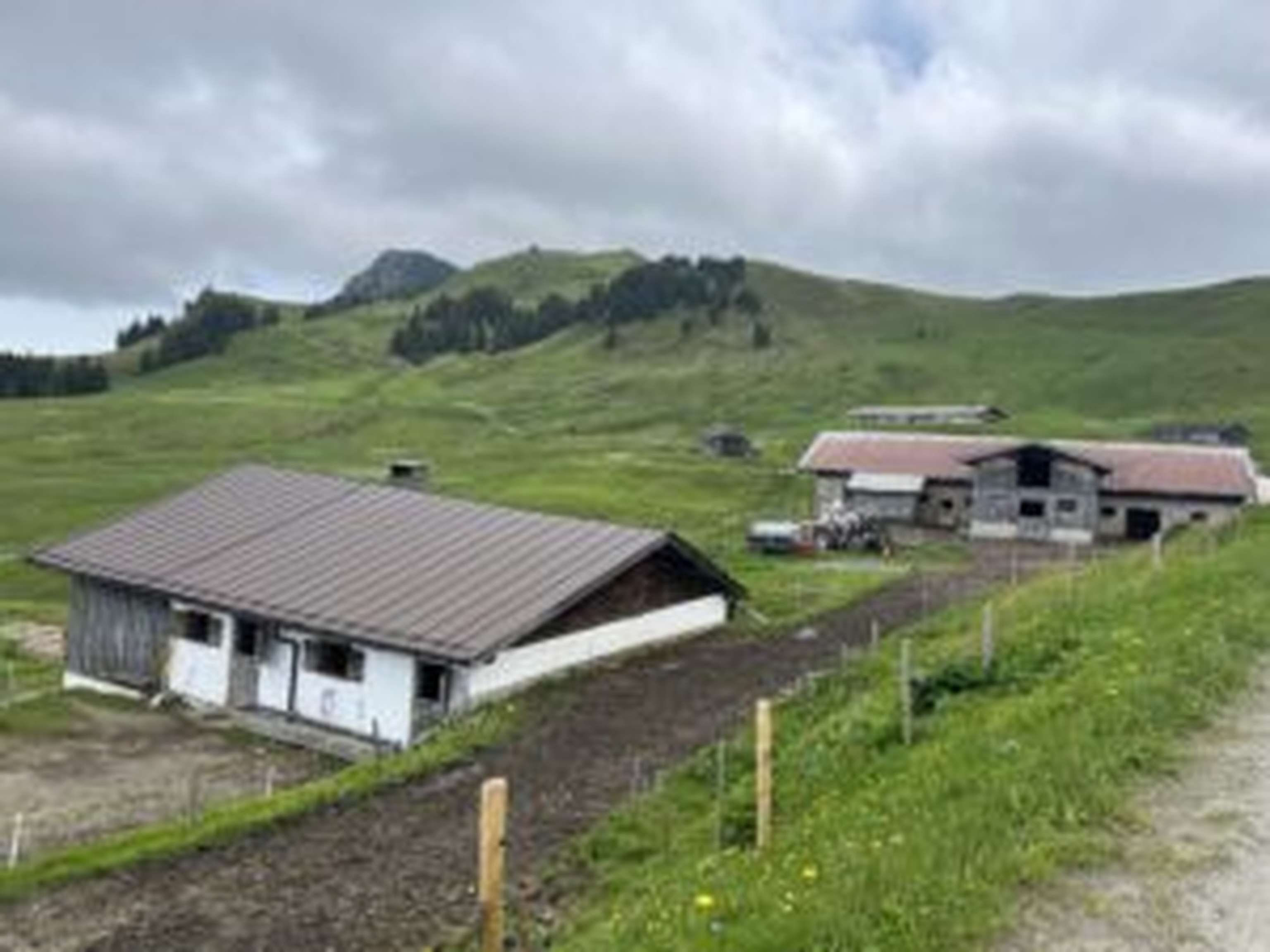 Im großen Laufstall (hinten) finden 80 Milchkühe Platz, der Rest des Viehs wird im älteren Stall untergebracht.