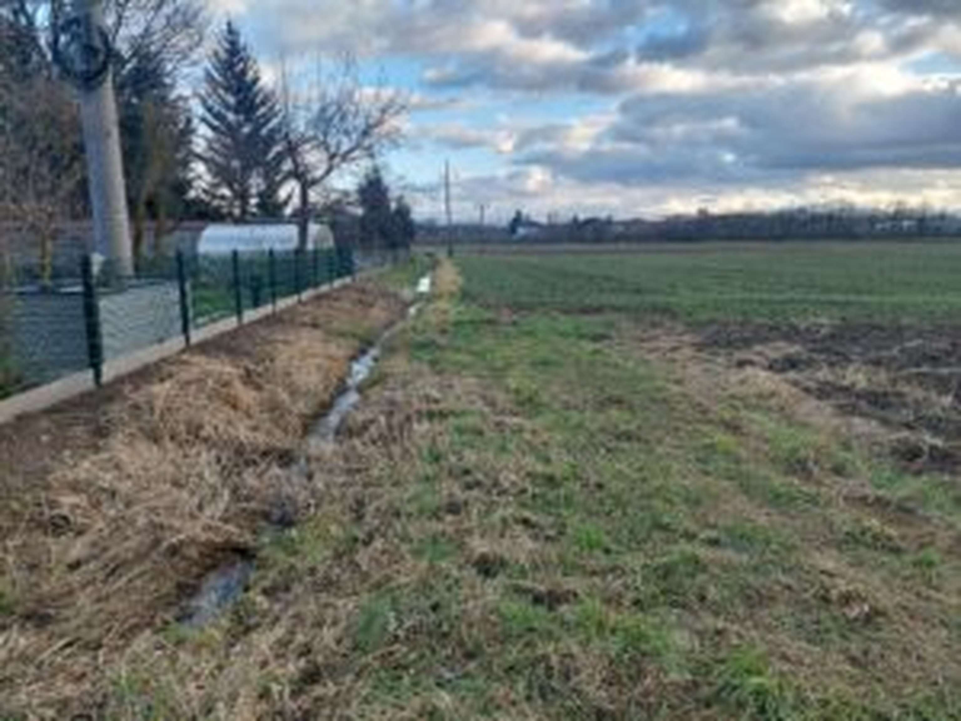 Am Feld im Vordergrund besteht ein ausreichender Pufferstreifen, im Hintergrund wurde dieser noch nicht beachtet.