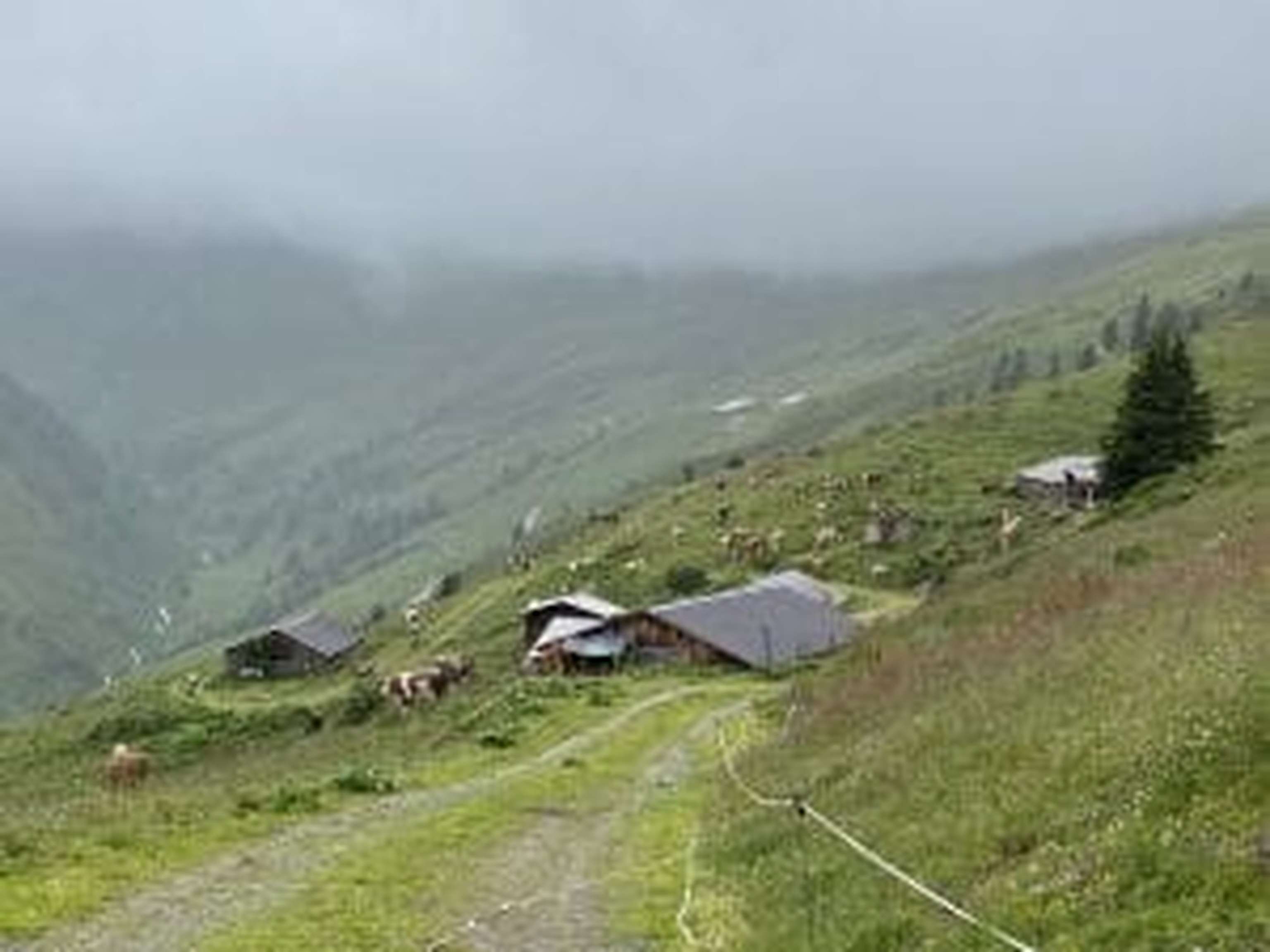 Auch Nebel- und Schlechtwettertage gehören dazu.