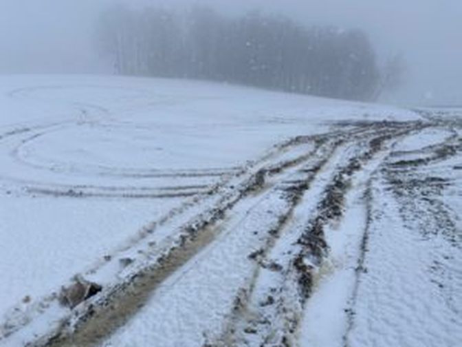 Dieses Foto von seinem Wintertriticale-Feld postet Füreders Sohn auf Facebook. Darauf folgten dreiste Kommentare wie „Wegen den paar Körnern, wieso macht ihr da so ein Theater?“