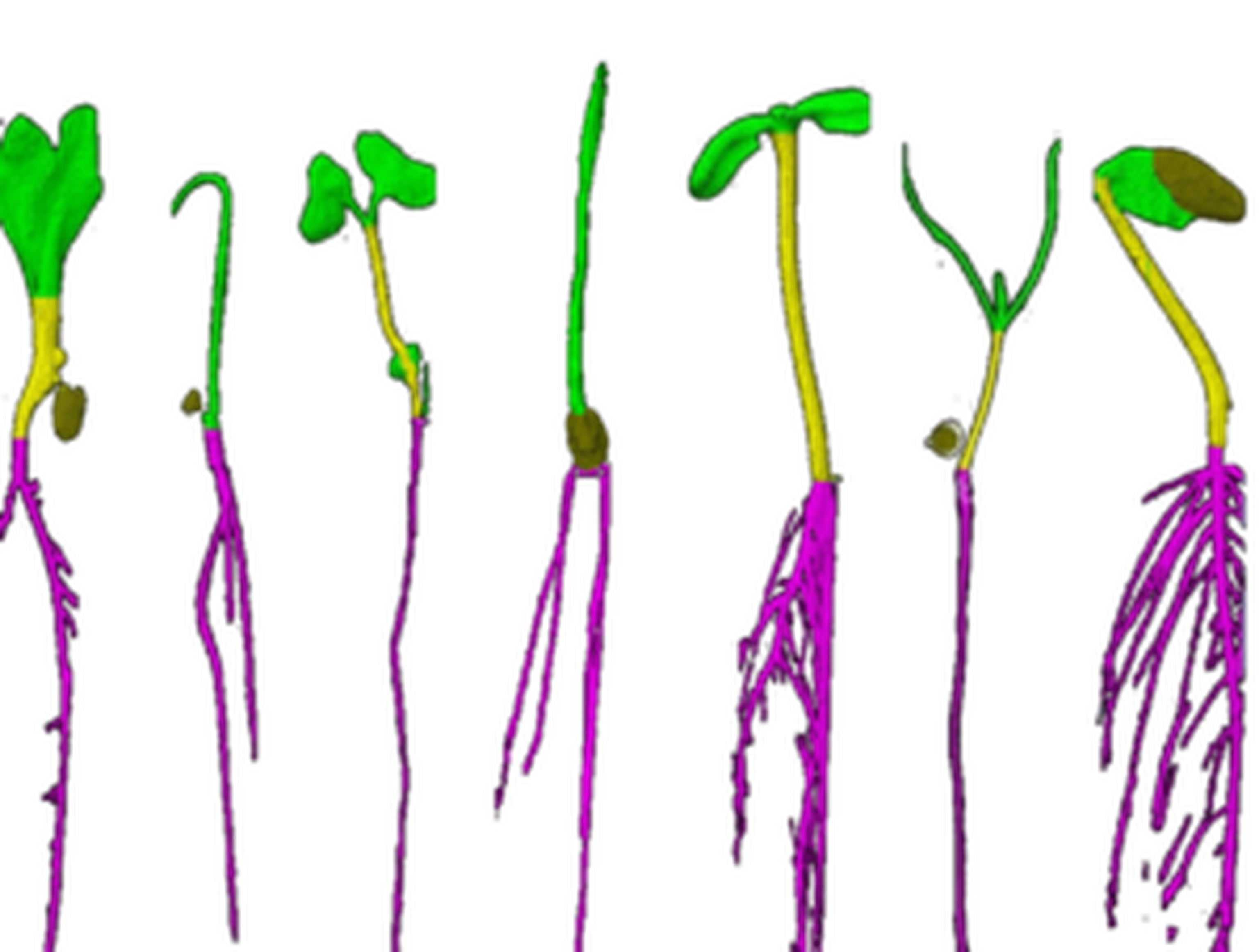 Automatisiert wird modelliert und vermessen. Ungenauigkeiten werden  vermieden.