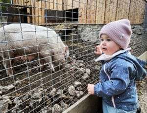 In Österreich werden mehr als 8.300 Kinder von Tageseltern betreut.