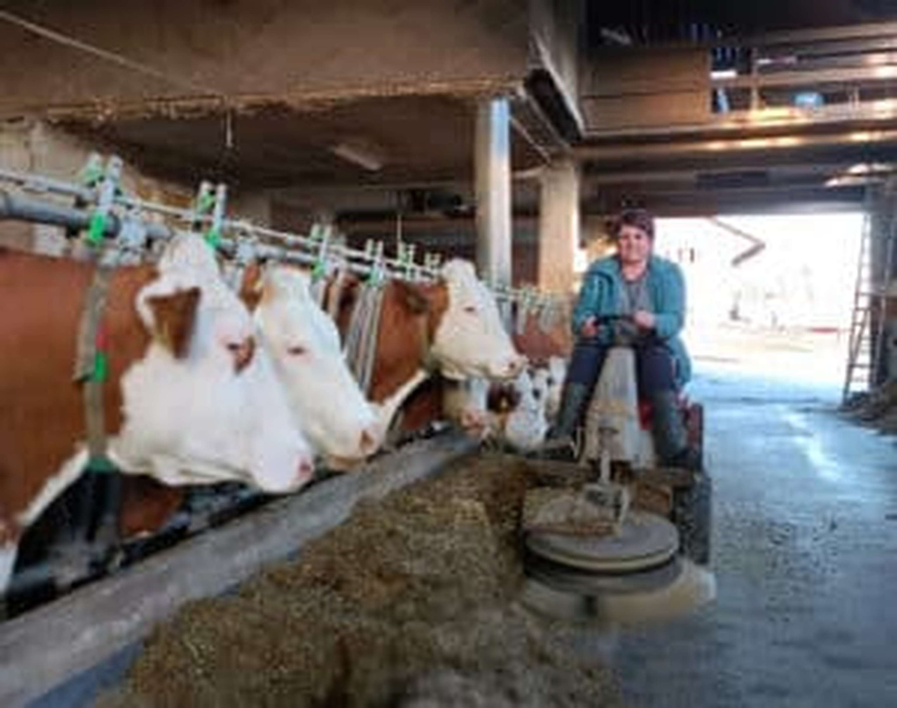 Bezirksbäuerin, Rohrbach„Ich bin immer bemüht das Beste für die Tiere und den Betrieb zu leisten. Wir sind verantwortlich für die Herstellung qualitativ hochwertiger Lebensmittel.“