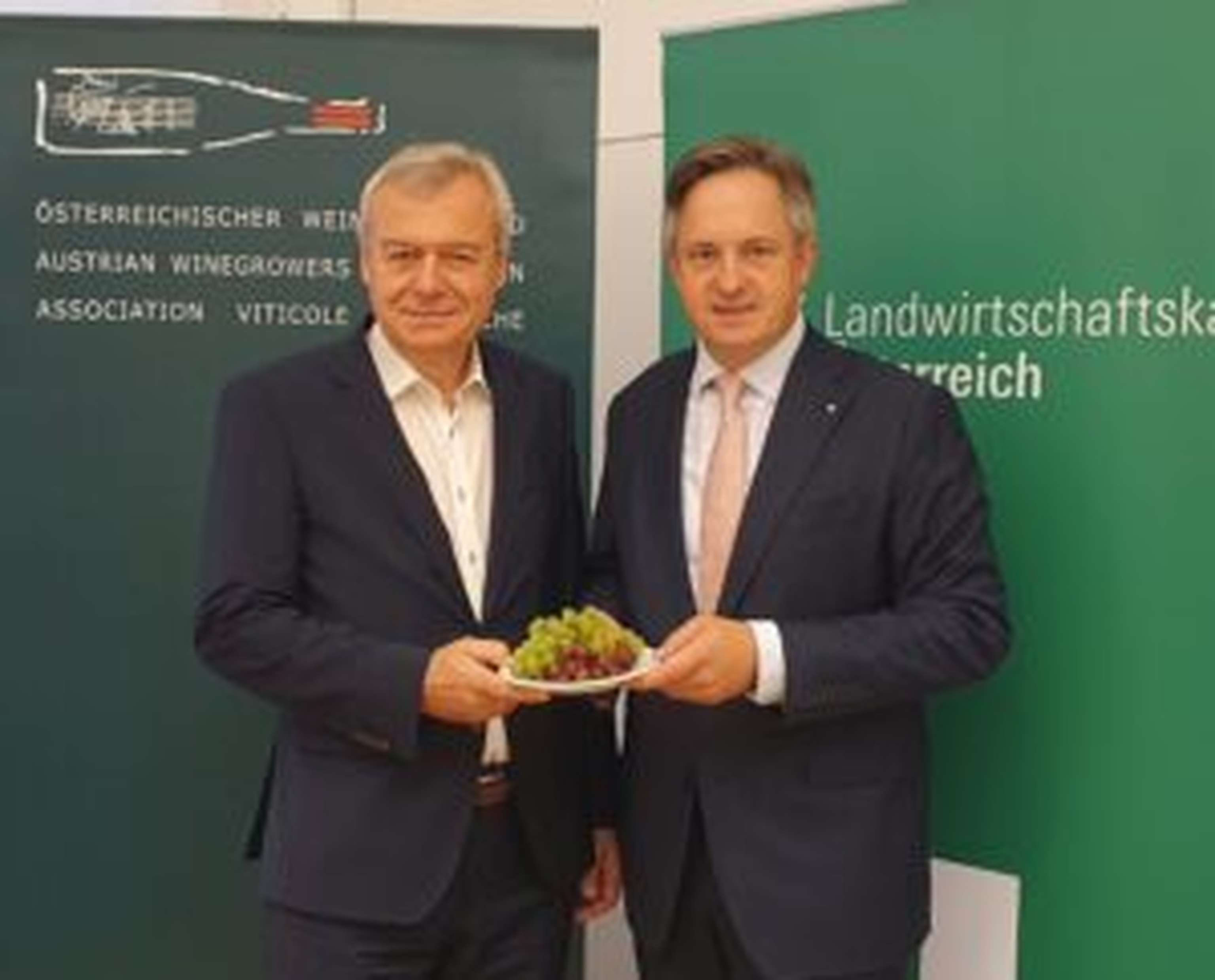 Glatt und Schmuckenschlager vom Österreichischen Weinbauverband freuen sich über gute Qualitäten der heurigen Trauben.
