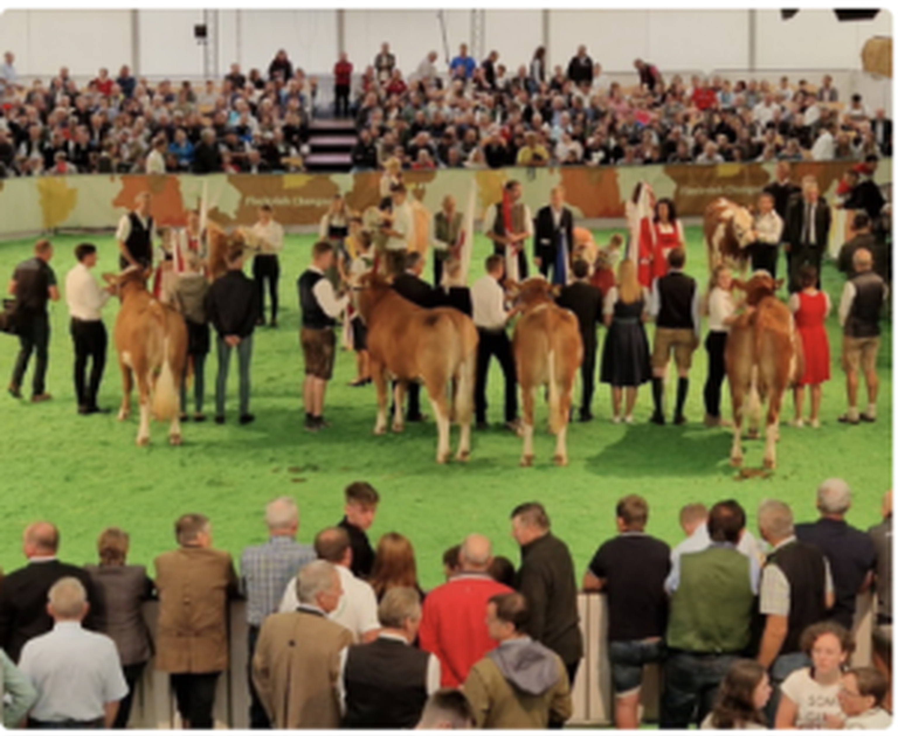 Eliteschau Freistadt