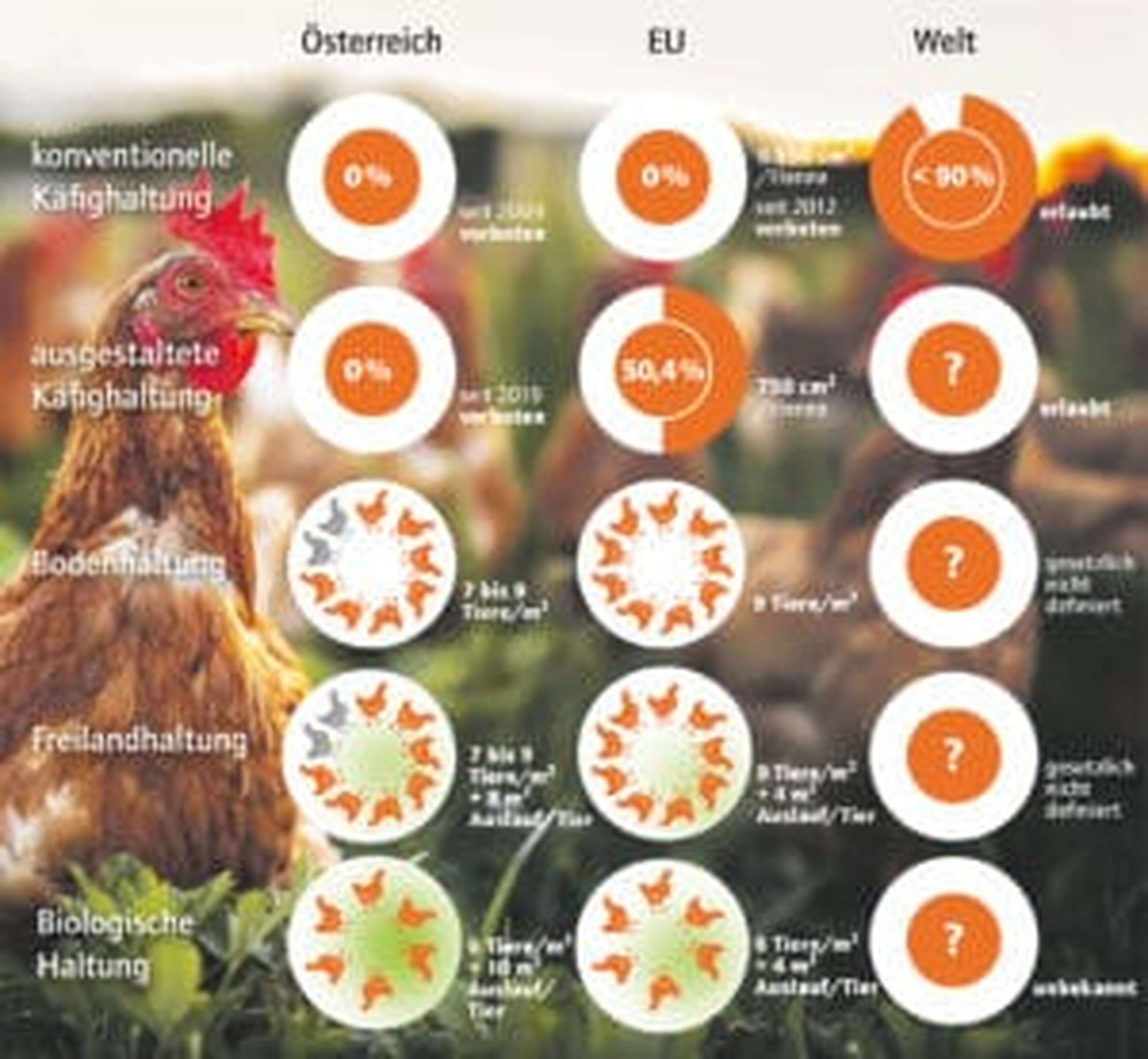 Österreichs Eier-Produktion im EU-weiten und im weltweiten Vergleich