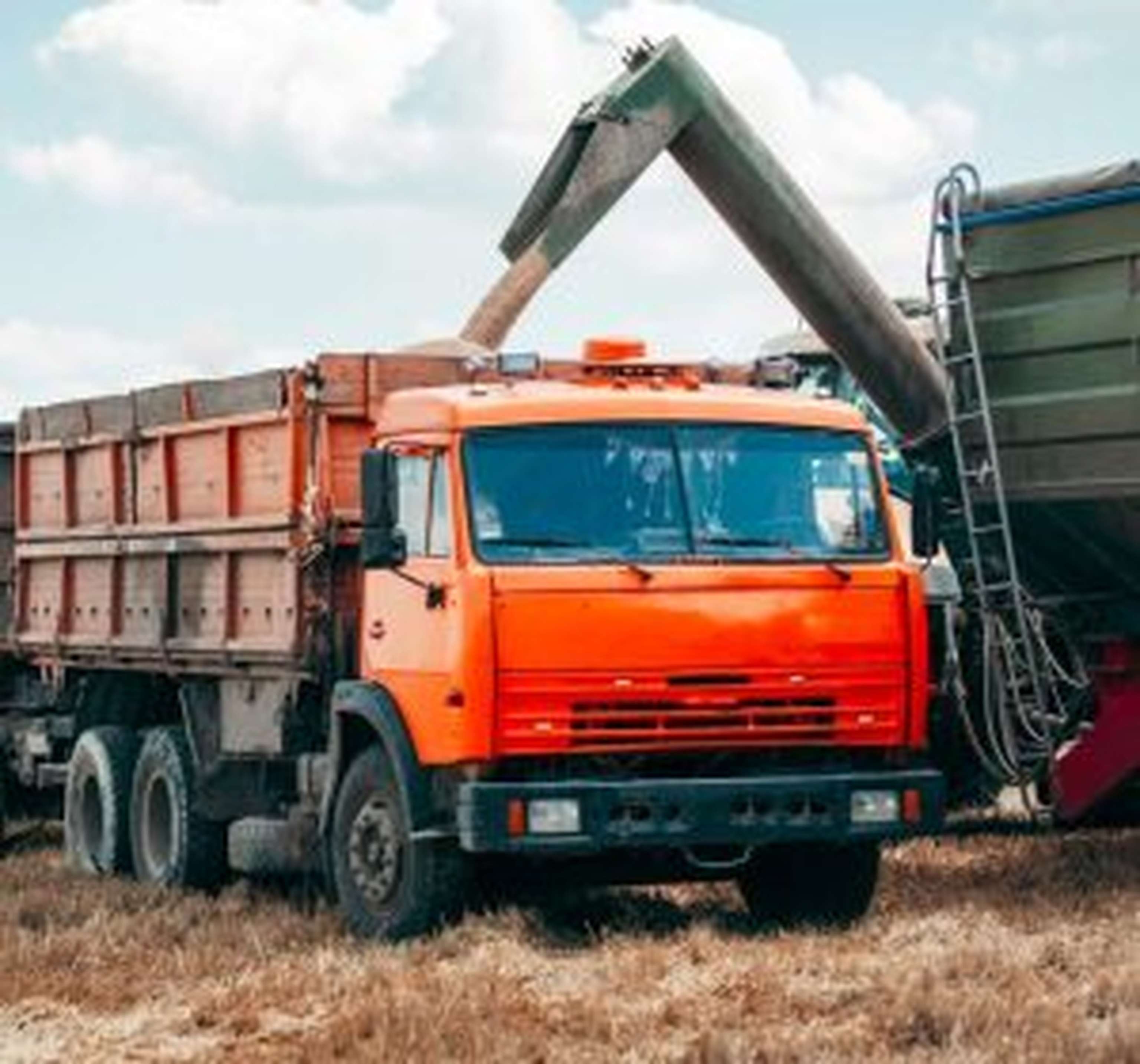 Getreide wird auf LKW verladen