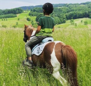 Pferde stellen in der tiergestützten Therapie beliebte Partner dar.
