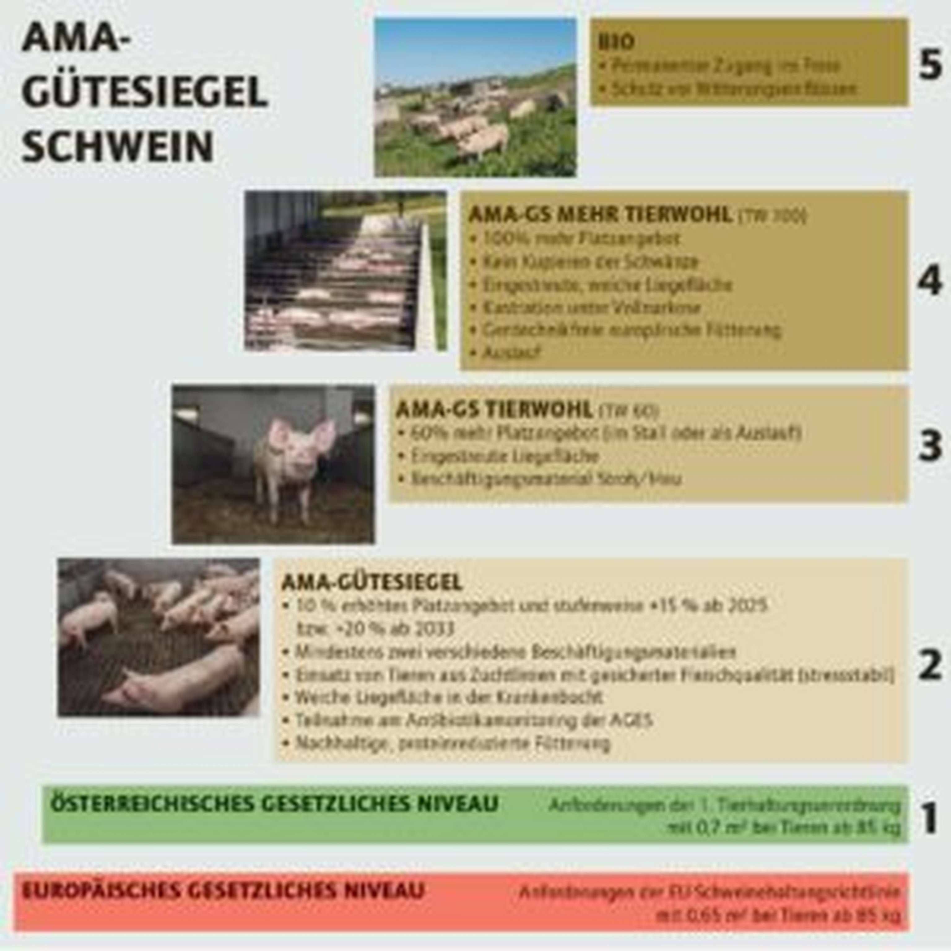 Beim Schwein gibt es de facto bereits eine fünfstufige Qualitätskennzeichnung auf Basis des AMA-Gütesiegels.