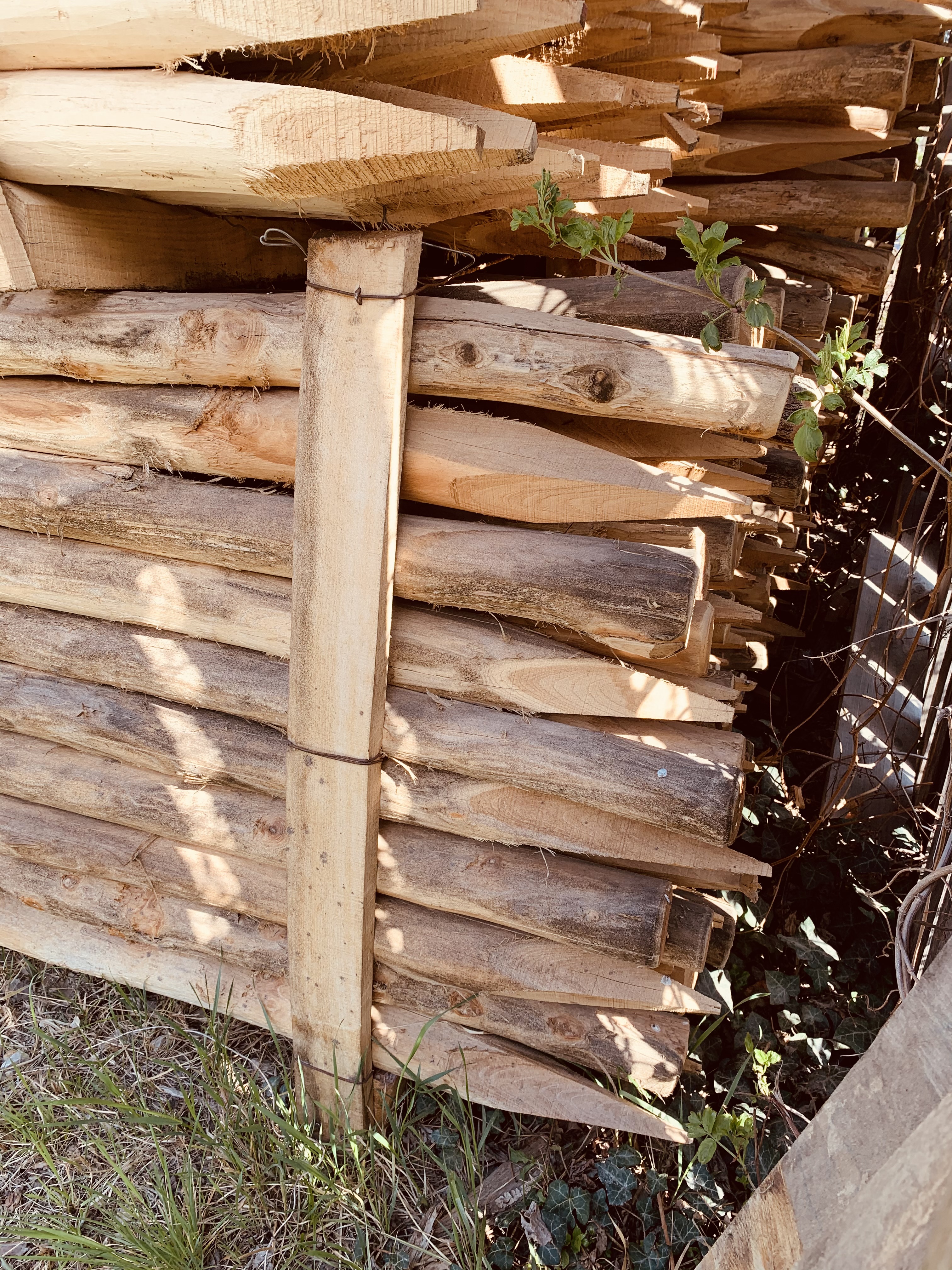 Bild 4 von Anzeige: Akazien/Robinien Pfähle