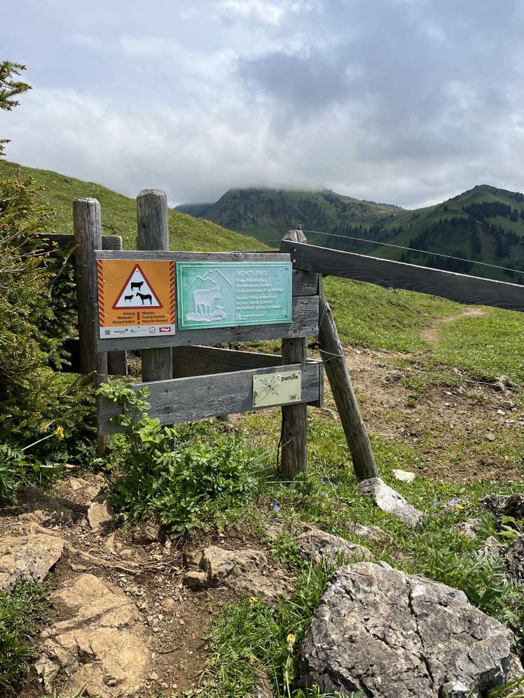 Weidezone Hinweisschild