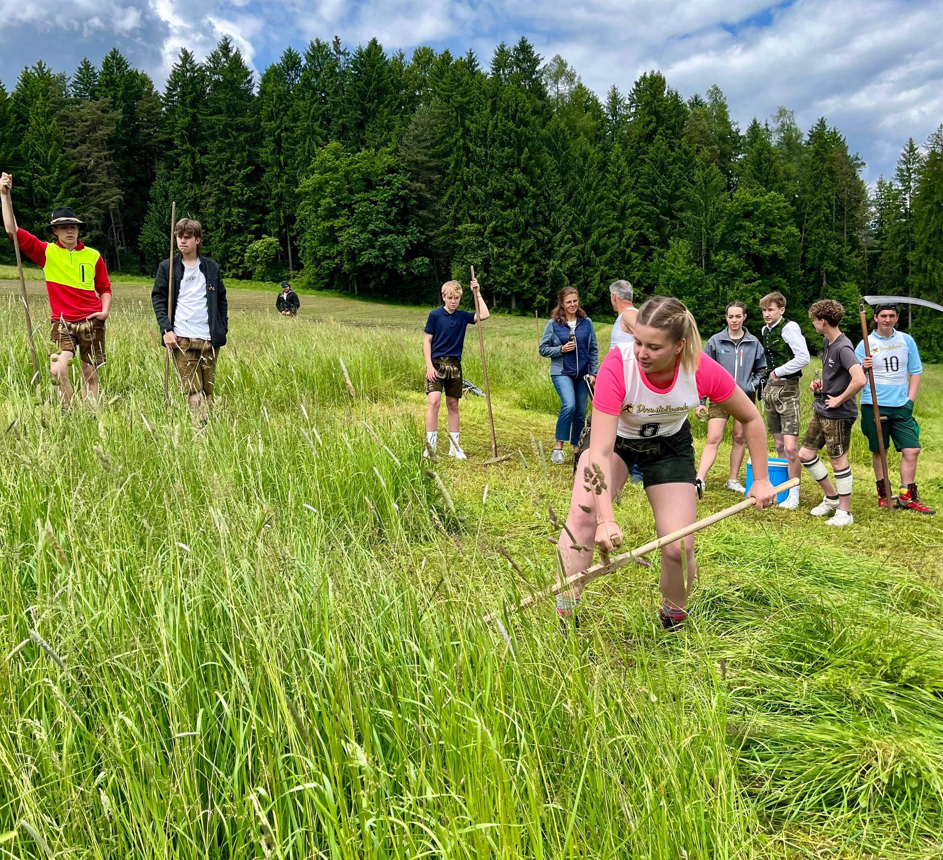 Köfler beim Handmähen der Landjugend Meisterschaft