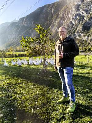 Ulrich Jakob Zeni mit Schnapsglas und Weidegänsen auf Streuobstwiese