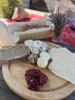 Rustikale Käseplatte mit verschiedenen Käsesorten, Brot und Preiselbeerkonfitüre auf einem Holzbrett, rote Tischdecke mit Heideblumen im Hintergrund.