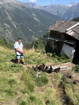 Mann füttert Hühner neben einer alten Holzhütte auf einer Alm mit beeindruckender Bergkulisse im Hintergrund.