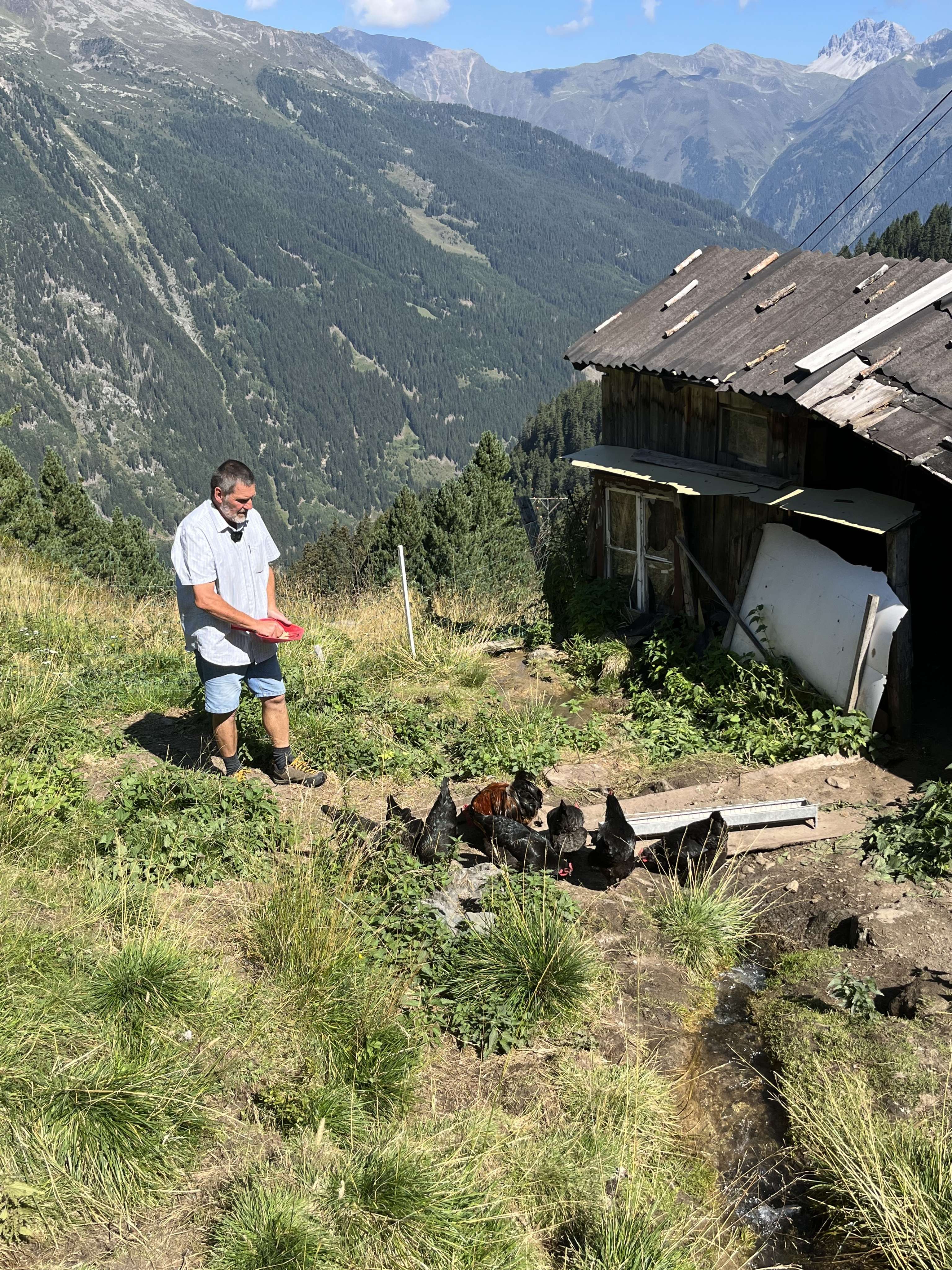 Mann füttert Hühner neben einer alten Holzhütte auf einer Alm mit beeindruckender Bergkulisse im Hintergrund.