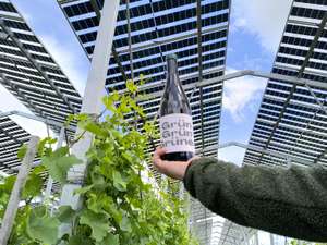 Agri-PV und Biowein
