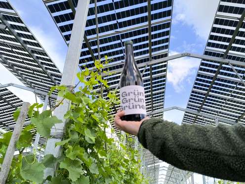 Agri-PV und Biowein