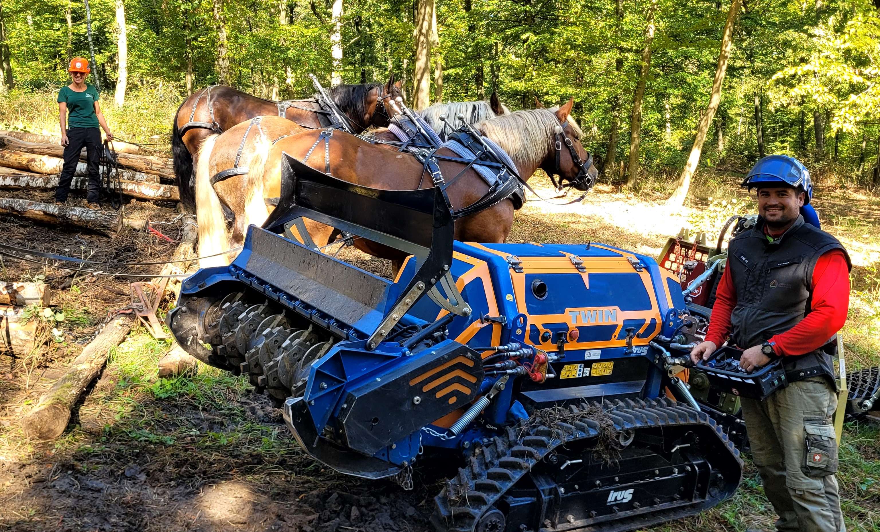 Arbeit im Wald